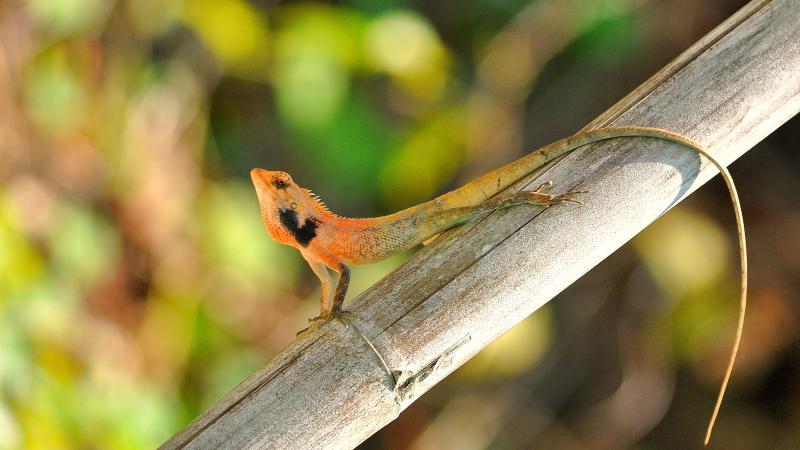 post-255172-0-37918700-1459935948_thumb.