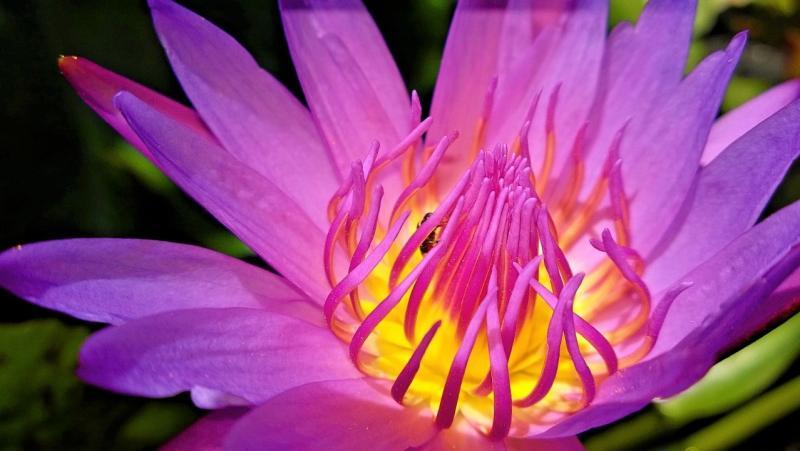 post-255444-0-34159200-1459781530_thumb.