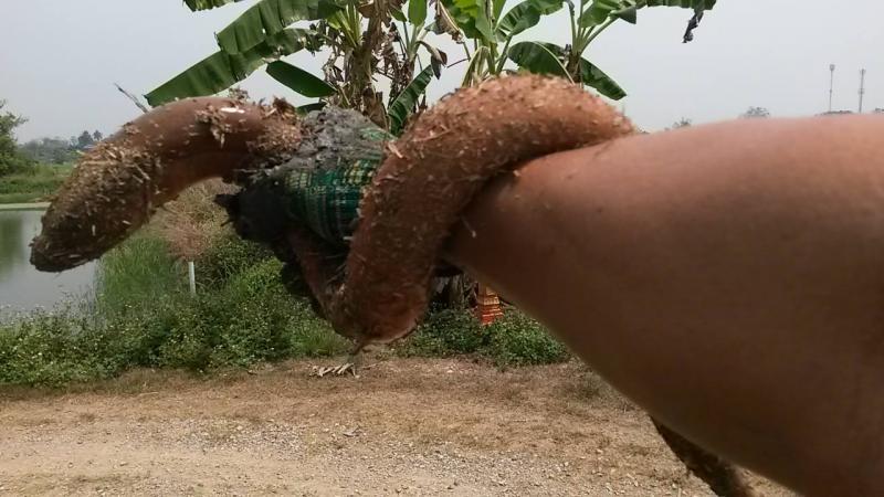 post-42398-0-07406200-1460459904_thumb.j