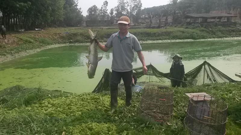 post-42398-0-16206000-1460261739_thumb.j