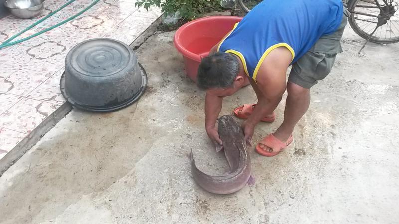 post-42398-0-75798600-1460520207_thumb.j