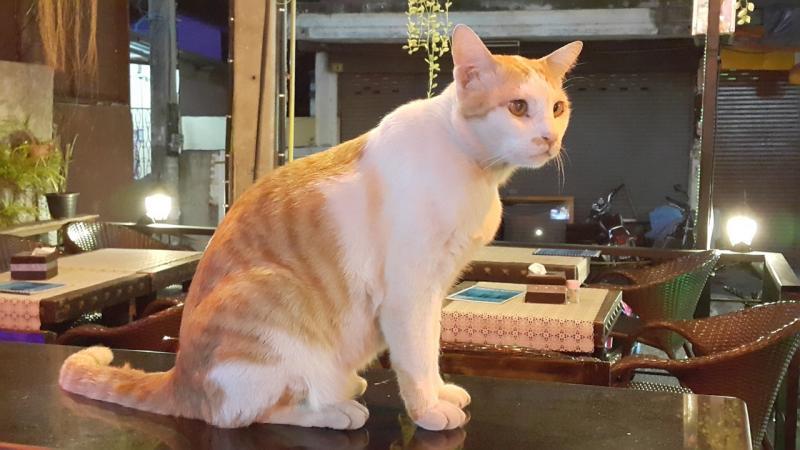 post-42592-0-11195600-1461804613_thumb.j