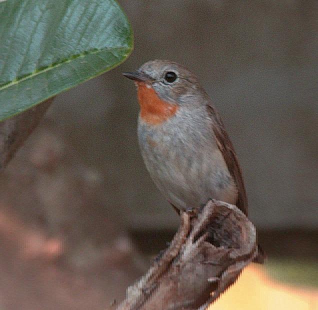 post-59731-0-01152200-1460259183_thumb.j