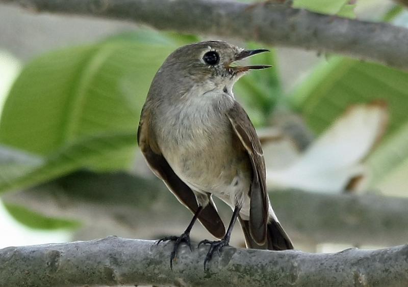 post-59731-0-90549300-1460259142_thumb.j