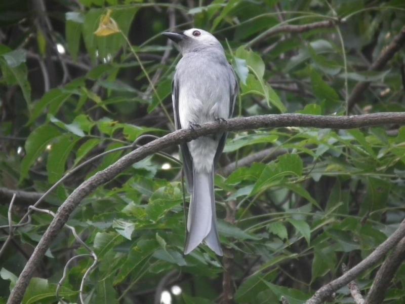 post-91156-0-36560700-1460115466_thumb.j