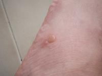 post-59719-1212032012_thumb.jpg