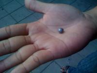 post-103783-1273832067_thumb.jpg