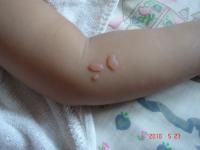 post-70500-1274924631_thumb.jpg
