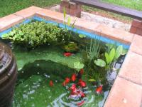 post-110702-0-90393200-1306751075_thumb.