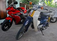 post-119286-0-31979200-1305111430_thumb.