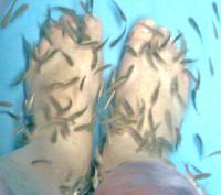 post-46648-0-44888200-1305673666_thumb.j