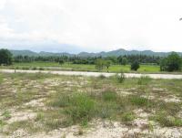 post-7665-0-48857200-1305297486_thumb.jp