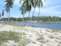 post-7665-0-79635900-1305297424_thumb.jp