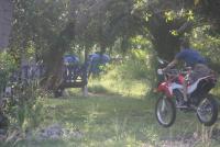 post-105817-0-20962300-1336997983_thumb.