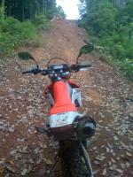 post-105817-0-55755100-1336050487_thumb.