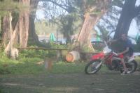 post-105817-0-59213100-1336998149_thumb.