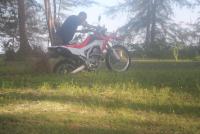 post-105817-0-79673400-1336998207_thumb.