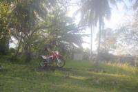 post-105817-0-85075000-1336998260_thumb.