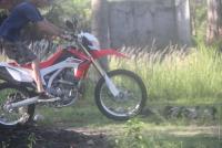 post-105817-0-86769500-1336998098_thumb.