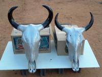 post-19542-0-32468800-1337323254_thumb.j