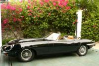 post-35218-0-65310200-1336870535_thumb.j