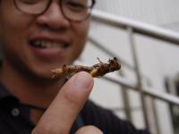 post-37101-0-18563200-1338285619_thumb.j