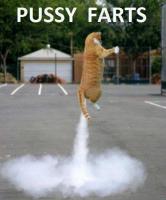 post-46648-0-02660100-1335957966_thumb.j