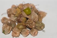 post-5482-0-50820200-1338356336_thumb.jp