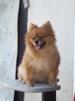 post-104736-0-21253200-1367657936_thumb.