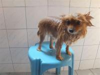 post-104736-0-49813800-1367657943_thumb.