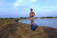 post-104736-0-52666100-1369976483_thumb.