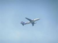 post-104736-0-53566800-1367388553_thumb.