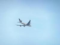 post-104736-0-57614300-1367536531_thumb.