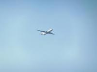 post-104736-0-78518400-1369542175_thumb.