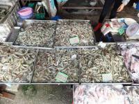 post-104736-0-97346900-1369484639_thumb.