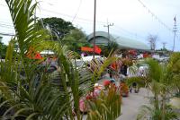 post-12069-0-29714400-1369030918_thumb.j