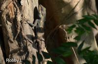 post-12069-0-49691900-1368340363_thumb.j