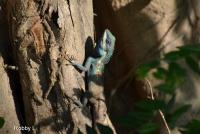 post-12069-0-56630300-1368340664_thumb.j