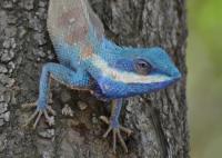 post-12069-0-75294500-1367908866_thumb.j