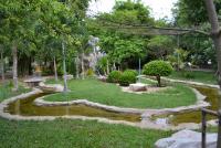 post-12069-0-91016900-1369107442_thumb.j