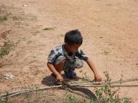 post-126208-0-75806600-1367745923_thumb.