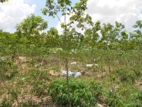 post-126208-0-79562600-1367745918_thumb.