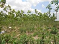 post-126208-0-97293100-1367745919_thumb.