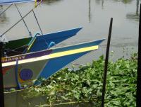 post-129716-0-58535700-1368076413_thumb.