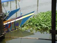 post-129716-0-72376800-1368076308_thumb.