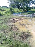 post-140056-0-05243500-1368000464_thumb.