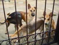 post-140056-0-13668700-1367551508_thumb.