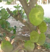 post-140056-0-15960400-1369800479_thumb.