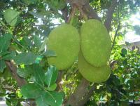 post-140056-0-20583400-1369800553_thumb.