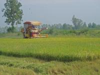 post-140056-0-21525400-1367549990_thumb.